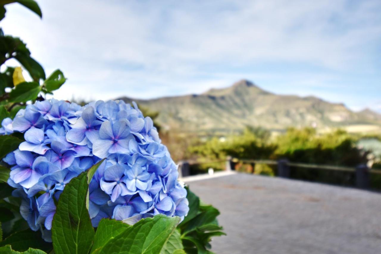 Golden View Luxury Self Catering Villa Clarens Eksteriør bilde